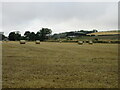 Bales at the Mains of Ogil