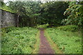 Footpath by Walled garden