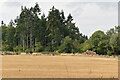 Field and woodland south of Georgia Farm