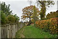 Footpath out of Fordcombe