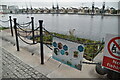 Floating ecosystem, Victoria Dock