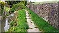 Path by Tong End Brook