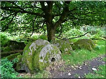 SK2479 : Abandoned millstones by the track to Bolehill Quarry by Neil Theasby
