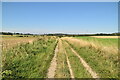 TR1438 : Farm track by N Chadwick
