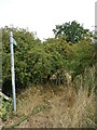 Footpath off the A129, White