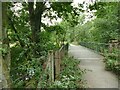 Skew bridge on the Manifold Way