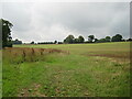 Summer sown crop near Great Ryburgh