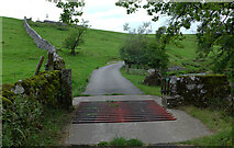 SD8961 : Cattle grid on the road to Scalegill Mill, Kirkby Malham by habiloid