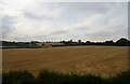 Stubble field near Wickford