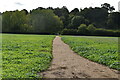 Footpath across field