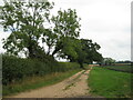 Clay Lane near Oxwick