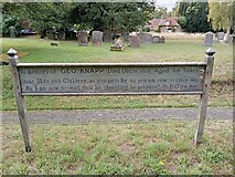 SU5385 : St Michael, Blewbury: churchyard by Basher Eyre