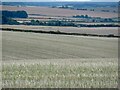 Stubble near Faulstone Down  Farm