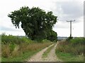 Road, Crouchestone Down