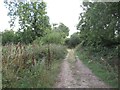 Road from Croucheston