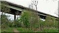 Cottingley Viaduct