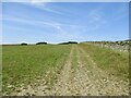 Track above Netherbarns