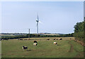 Sheep and a turbine