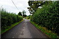 Blackfort Road, Drumragh