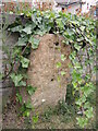 Milestone on the Langport Road