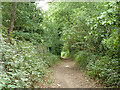 Walton & Weybridge footpath 23