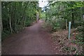 Path through Weston Hills Nature Reserve