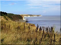 TA2068 : Sewerby Cliffs by JThomas