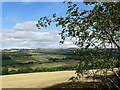 Looking across the Derwent Valley