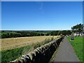 View from Rowley Bank