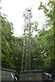 Mast, Commons Wood