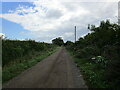 Bears Lane near Weldon