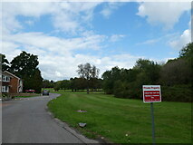 SU6772 : Calcot Park Golf Club: September 2022 by Basher Eyre