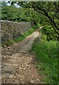 Paved path at Deep Cliff Hole