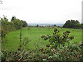 Field off Bradley Fold Road