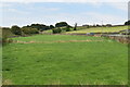 Field by the A65