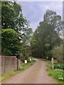 Cycle track in Morangie Forest