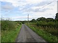 Yellow road, Heartsease