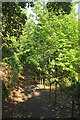 Footpath to Gilbert Close, Torquay