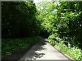 Mill Lane towards Fair Oak Green