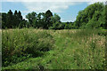 Teme flood plain