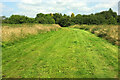 Path across Teme flood plain