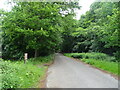 Park Lane, Burnham Beeches