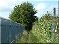 Footpath from Wood Lane to Fambridge Road