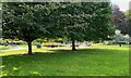 SP2864 : A place to sit, St Nicholas Park, Warwick by Robin Stott
