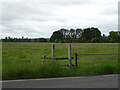 Footpath, Widbrook Common