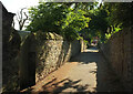 Footpath, Bromyard