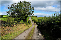 H3978 : Cashty Road, Beragh by Kenneth  Allen