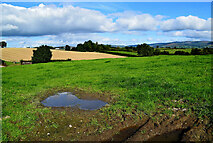 H4178 : Muddy patch in field, Gortnacreagh by Kenneth  Allen