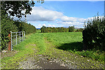 H4178 : An open field, Gortnacreagh by Kenneth  Allen