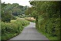 Lane north of Staplecross